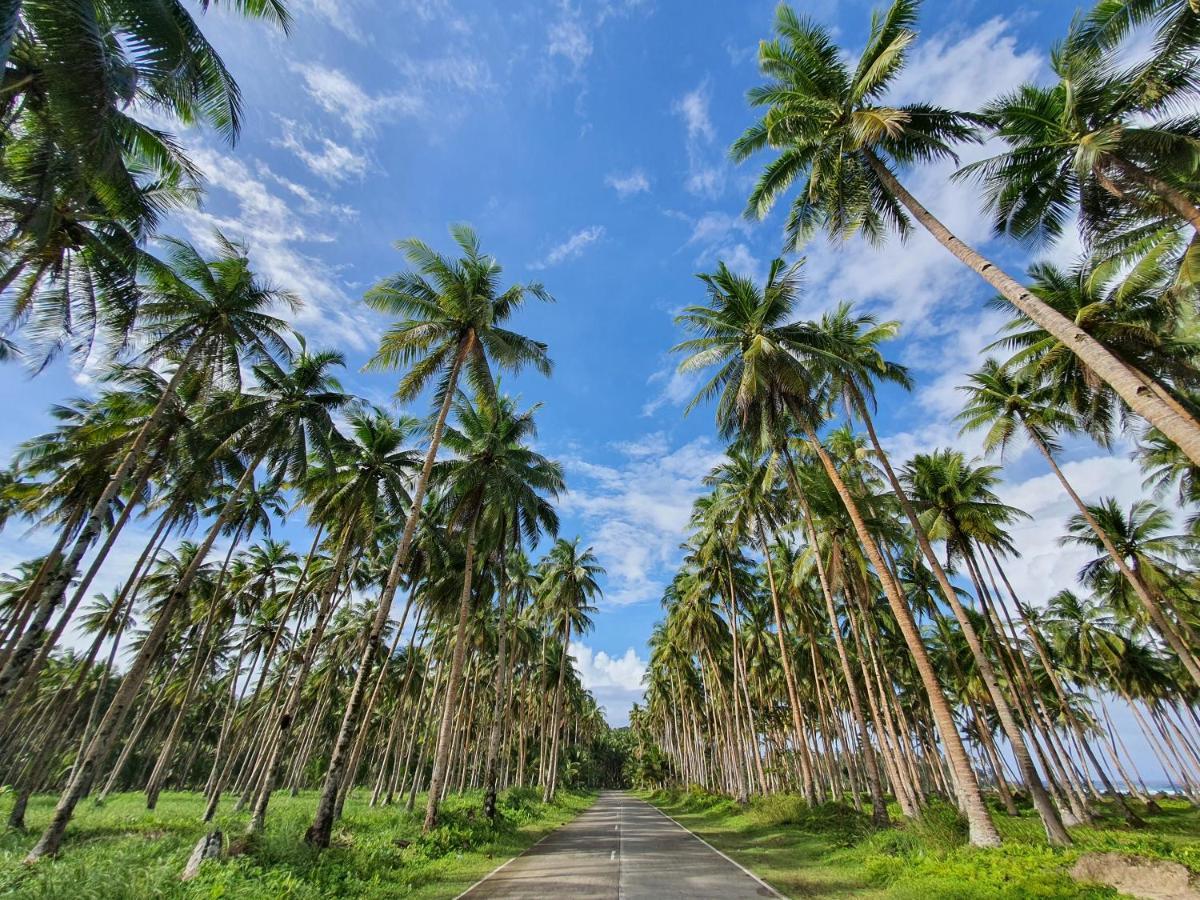 Coleto Siargao Bed & Breakfast San Isidro  Eksteriør bilde
