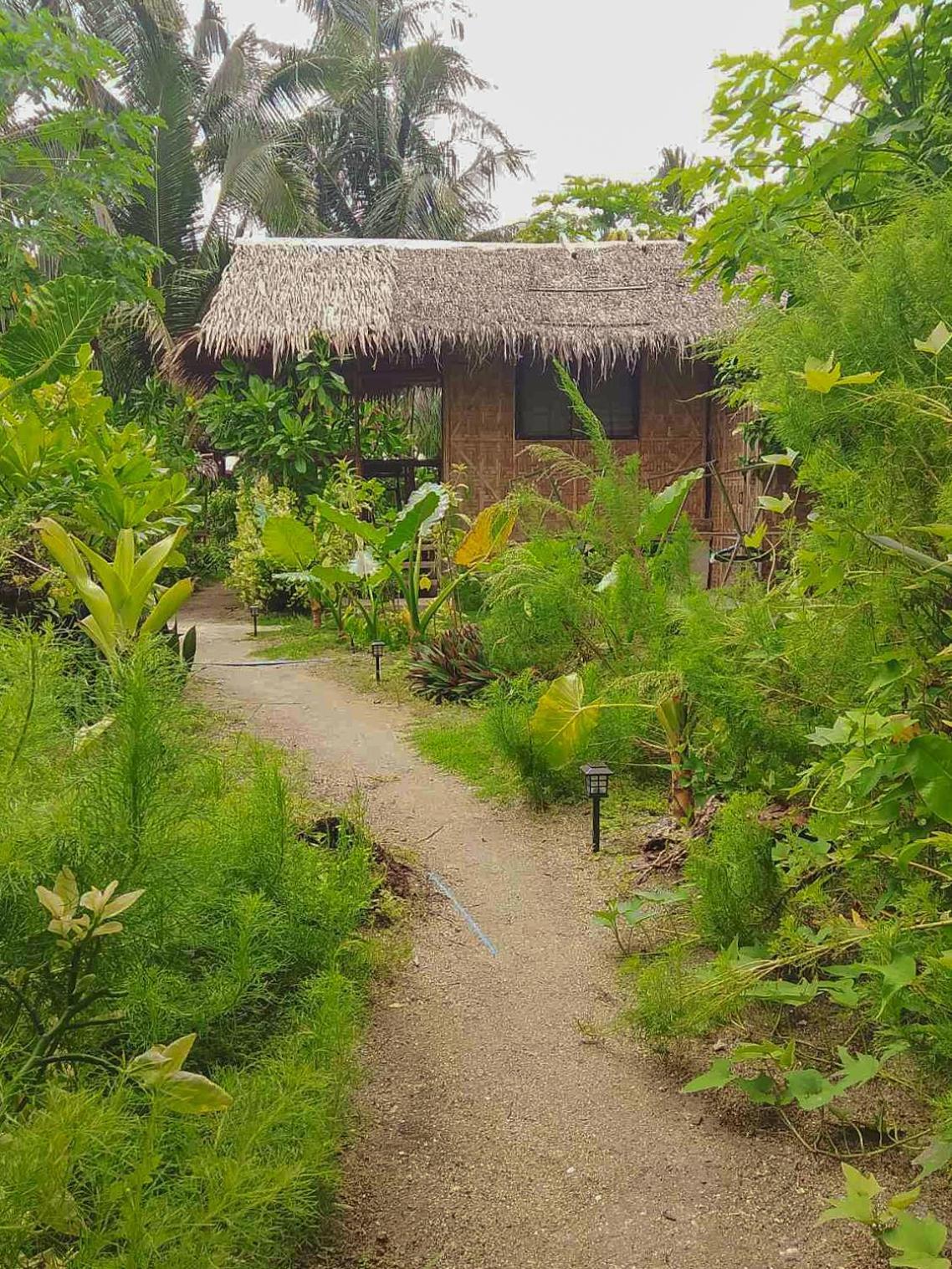 Coleto Siargao Bed & Breakfast San Isidro  Eksteriør bilde