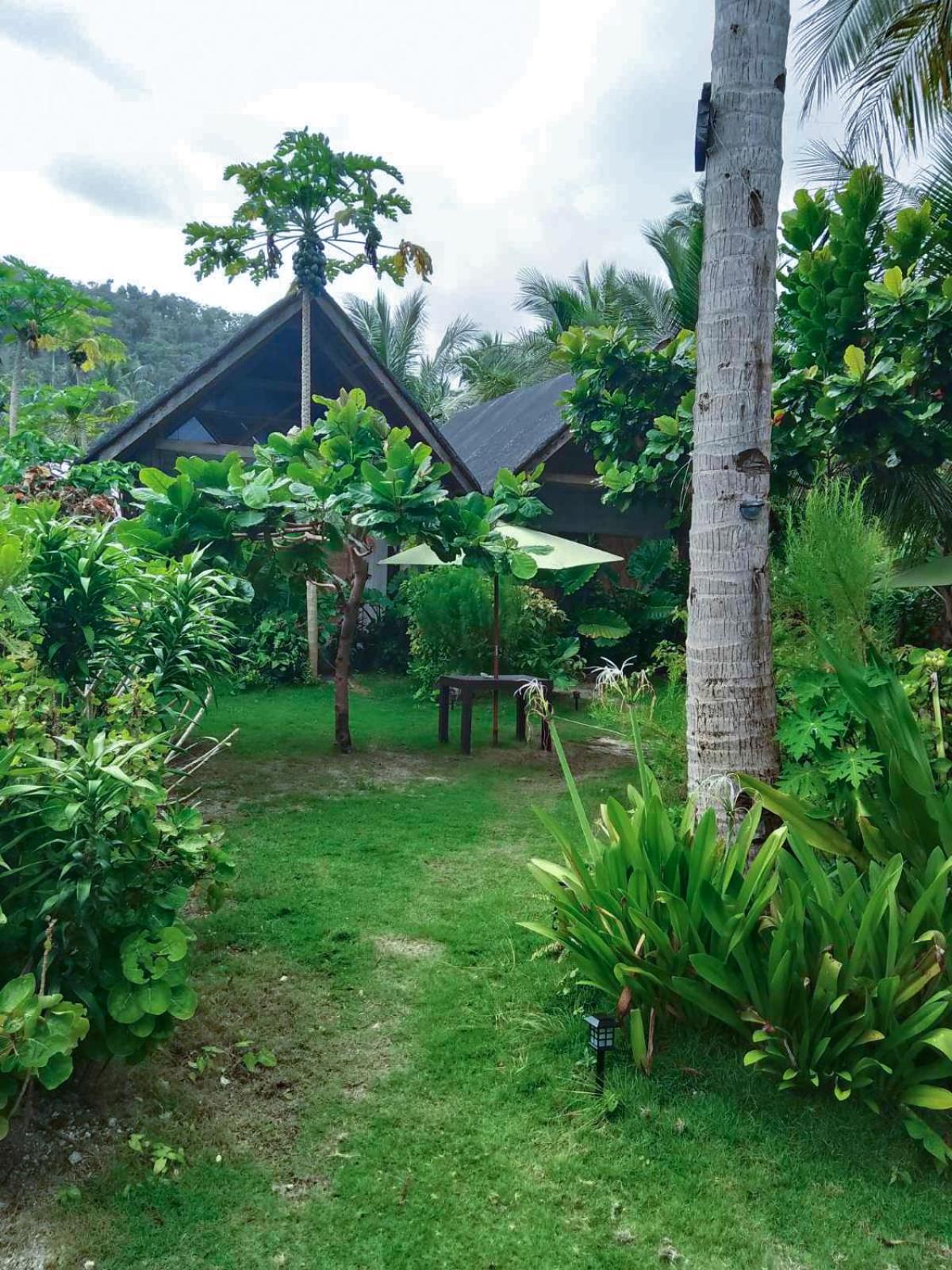 Coleto Siargao Bed & Breakfast San Isidro  Eksteriør bilde