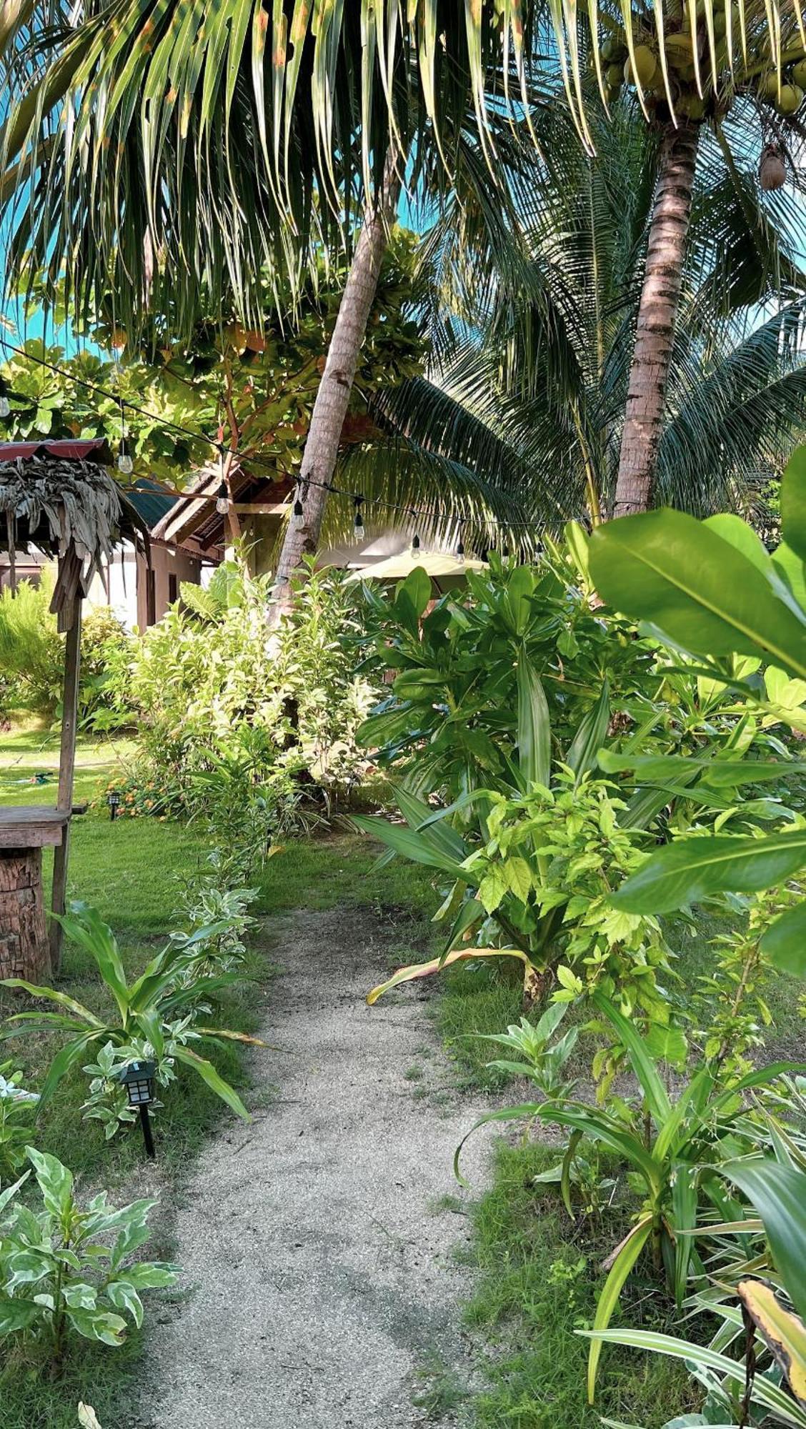 Coleto Siargao Bed & Breakfast San Isidro  Eksteriør bilde