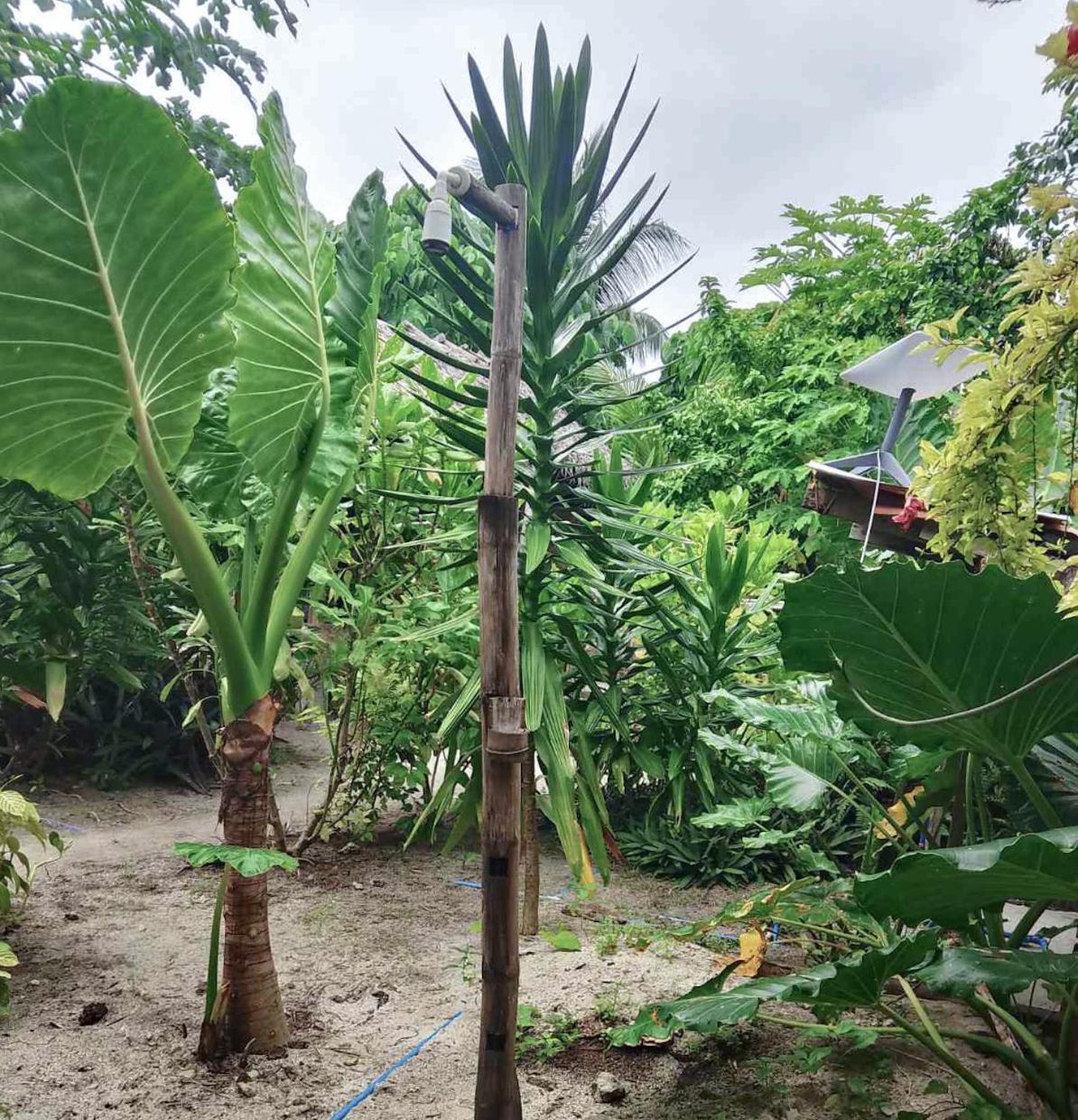 Coleto Siargao Bed & Breakfast San Isidro  Eksteriør bilde