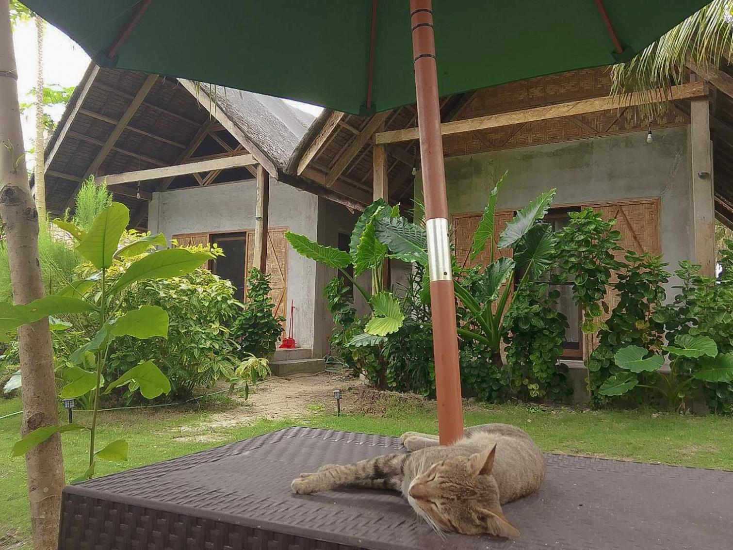 Coleto Siargao Bed & Breakfast San Isidro  Eksteriør bilde