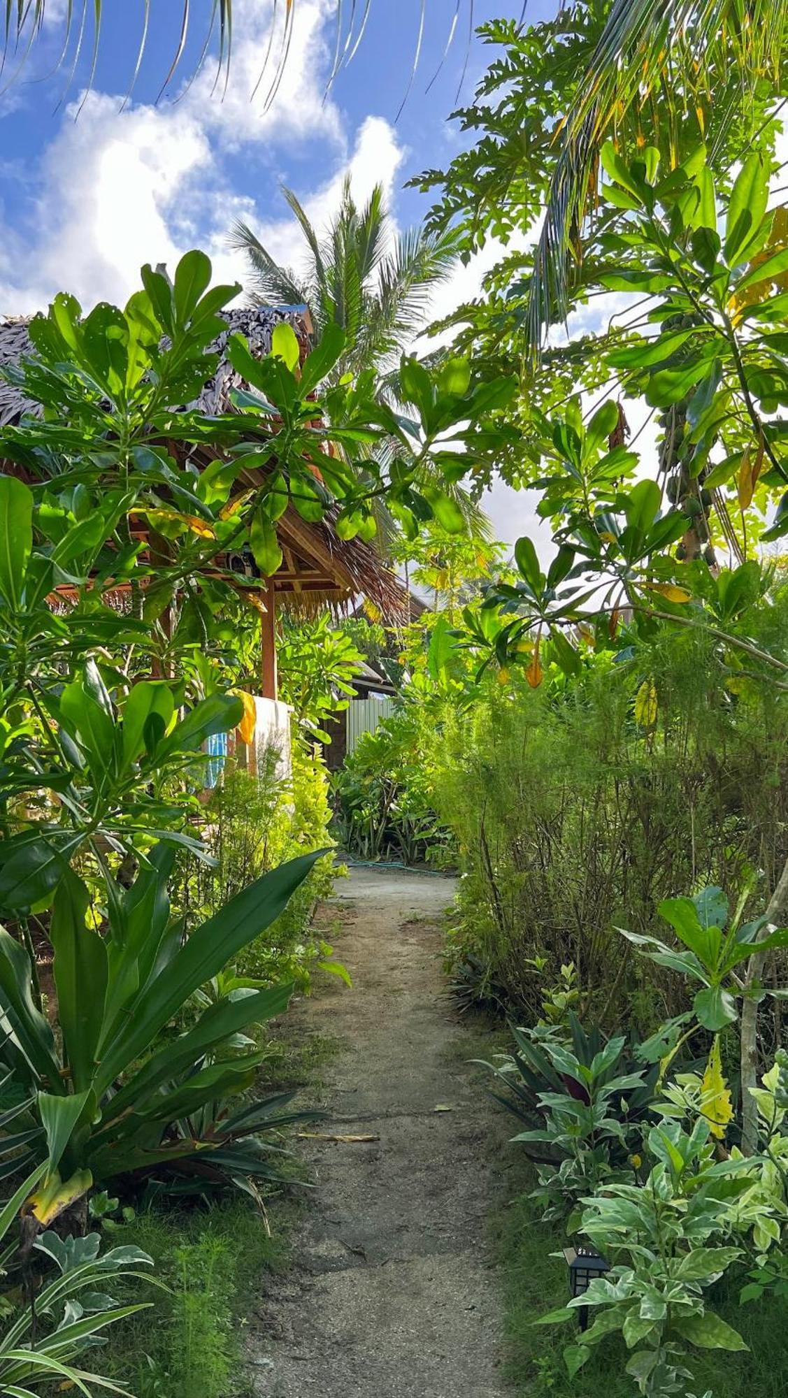Coleto Siargao Bed & Breakfast San Isidro  Eksteriør bilde