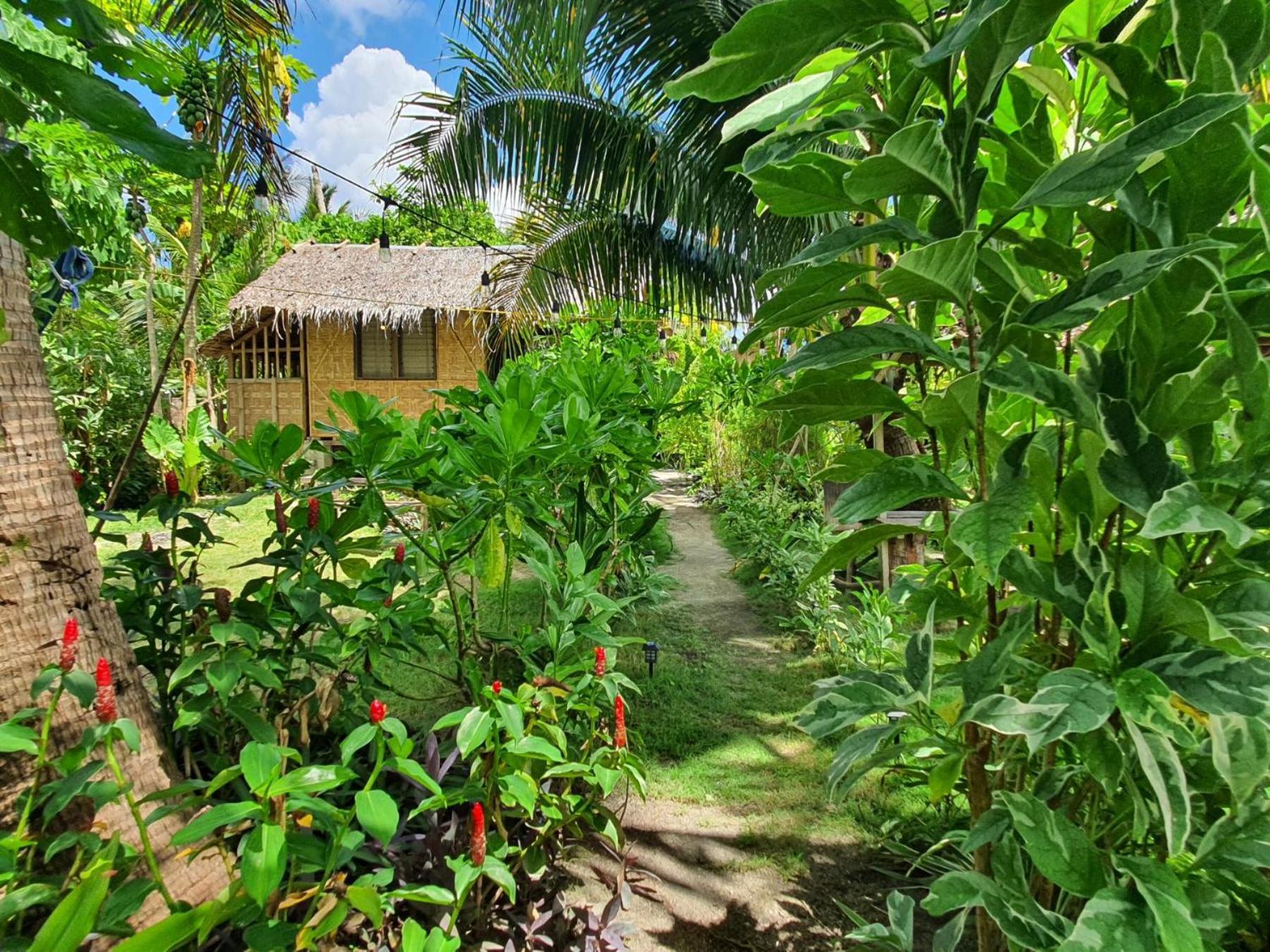 Coleto Siargao Bed & Breakfast San Isidro  Eksteriør bilde