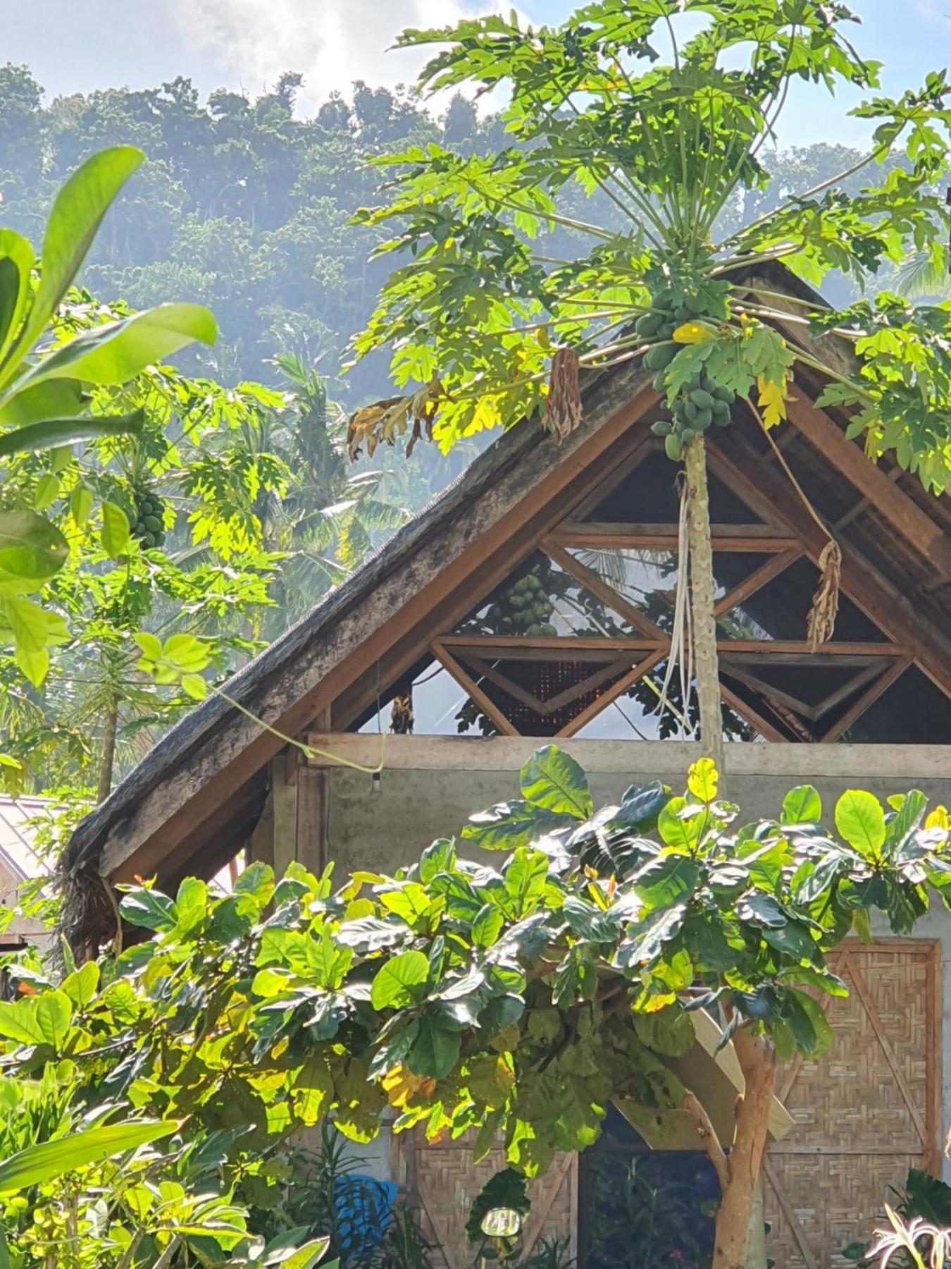 Coleto Siargao Bed & Breakfast San Isidro  Eksteriør bilde
