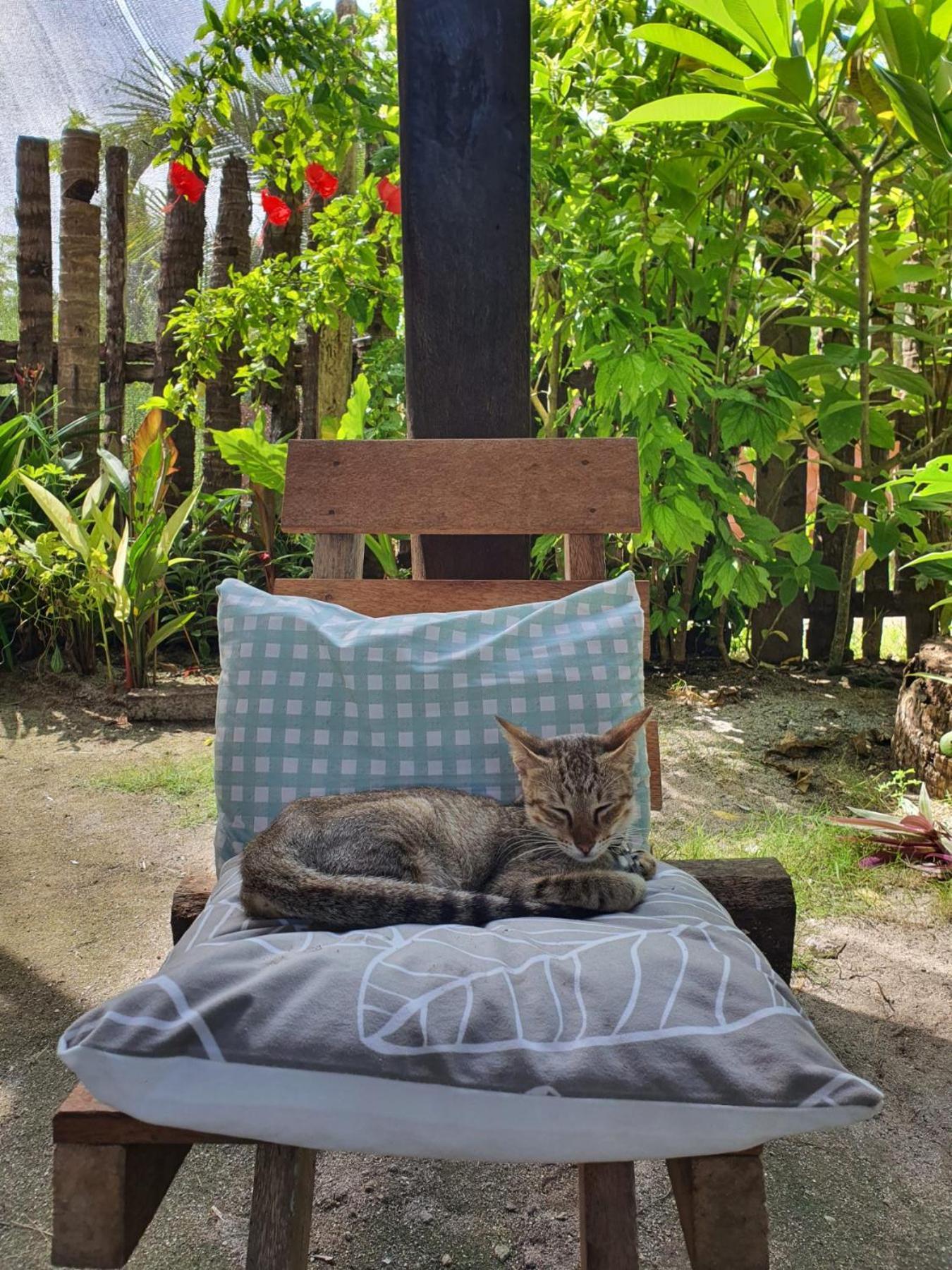 Coleto Siargao Bed & Breakfast San Isidro  Eksteriør bilde