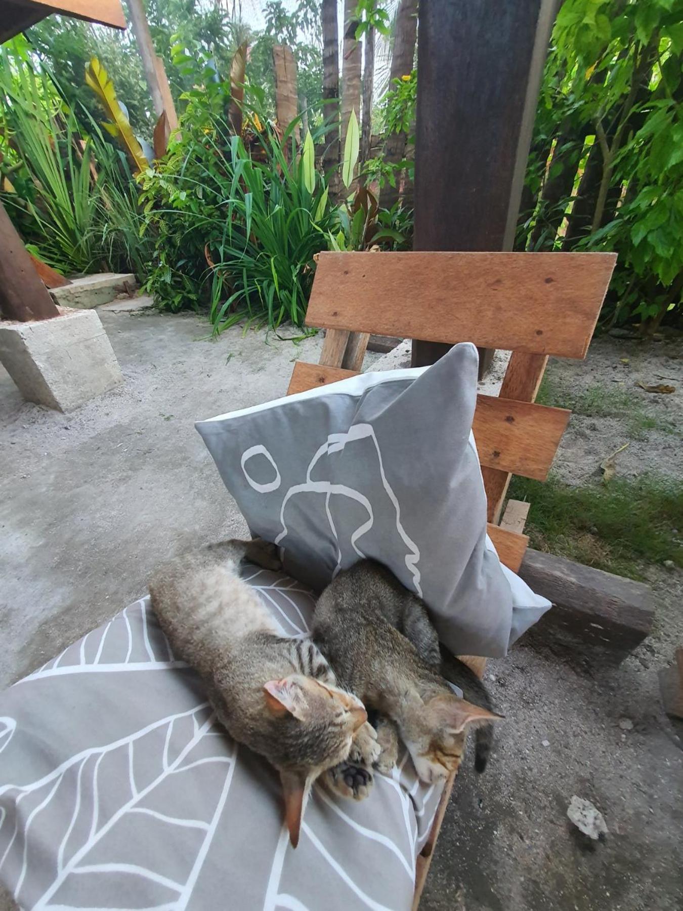 Coleto Siargao Bed & Breakfast San Isidro  Eksteriør bilde